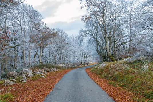 Tendances saisonnières : breloques incontournables pour chaque saison !