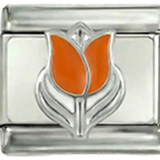 Tulipano olandese