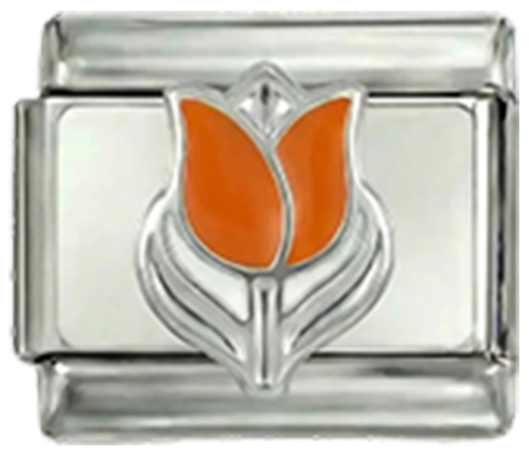 Tulipano olandese