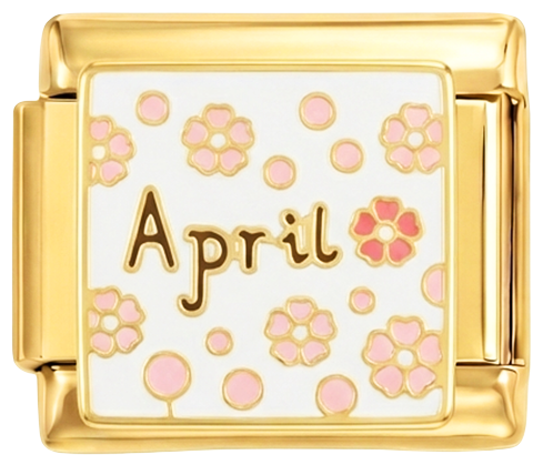 Immagine diapositiva