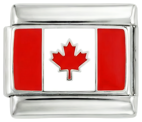 Immagine della slide