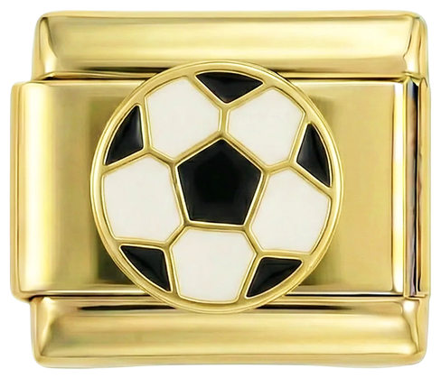 Immagine della slide