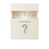 Mystery Box (5 Charms)
