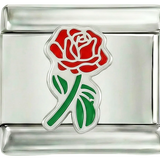 Rosa rossa intera con gambo verde